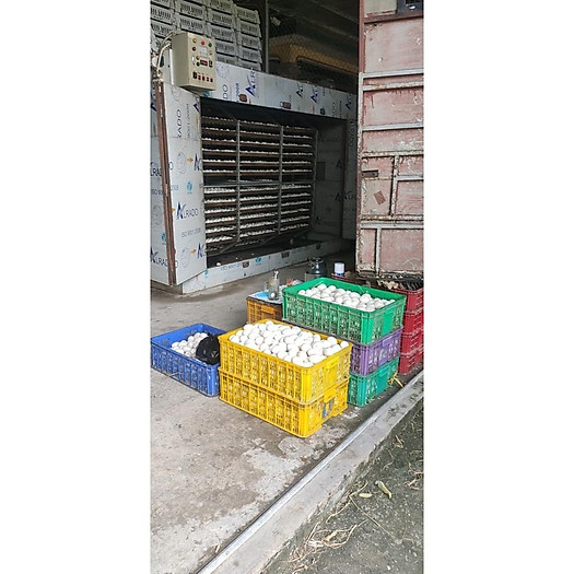 Q8 trứng gà trứng vịt hột vịt lộn giao các quận 1 2 3 4 5 6 7 8 10 11