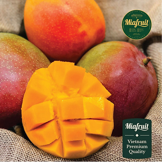 XOÀI GIỐNG ÚC- 1kg