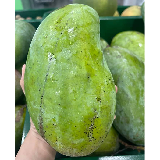 Xoài hạt lép An giang - 1kg