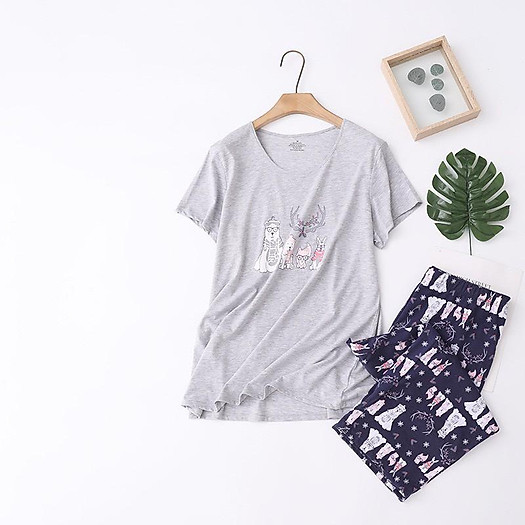 BỘ LỬNG COTTON BIG SIZE