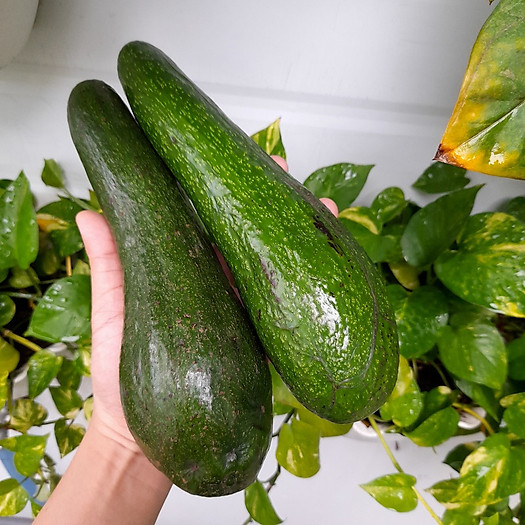 Bơ 034 Đắc Lắc - 1kg