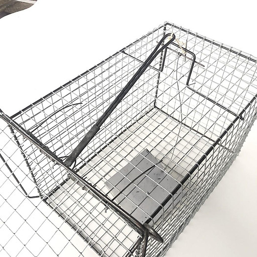 Lồng Bẫy Đa Năng Mèo ( Bẫy mèo , chuột , dúi )