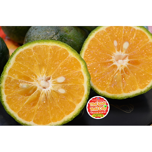 Cam sành Bến Tre [size 4,5 trái] - 1kg