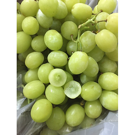 Nho Xanh Sugar Hydix Nam Phi