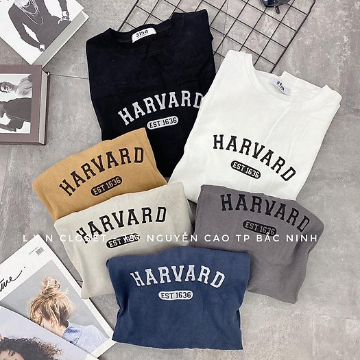 Áo thun 3158 chữ Harvard chất dày hàng Quảng Châu