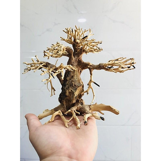 BONSAI LŨA GỖ CHO HỒ 40CM-60CM | THIẾT KẾ CÂY CỔ THỤ HỒ THUỶ SINH
