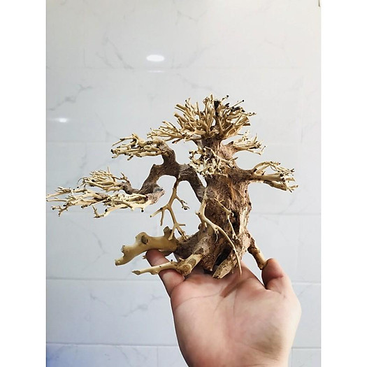 BONSAI LŨA GỖ CHO HỒ 40CM-60CM | THIẾT KẾ CÂY CỔ THỤ HỒ THUỶ SINH