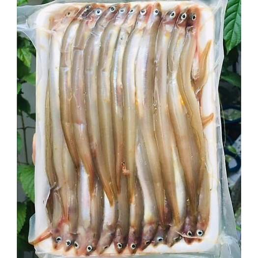 Cá Sùn Sịn  Hoàng Gia 500g