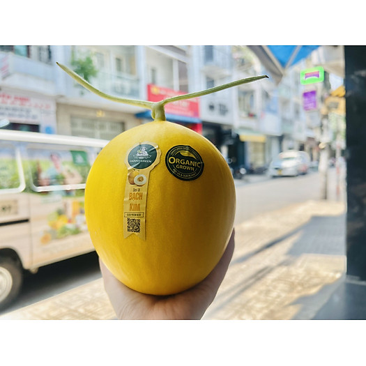 Dưa Lê Bạch Kim ( Úc ), trái giòn ngọt, thịt trắng sữa