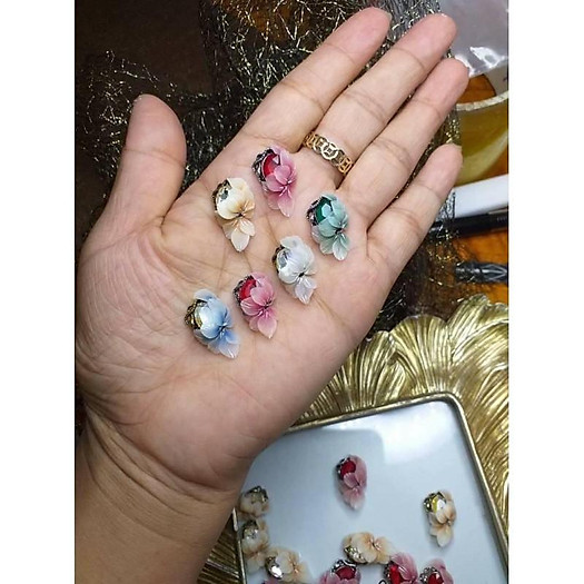 hoa cúc ôm đá đẹp