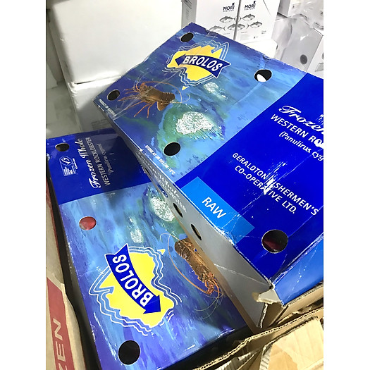 Tôm Hùm Đá Tây Úc đông lạnh