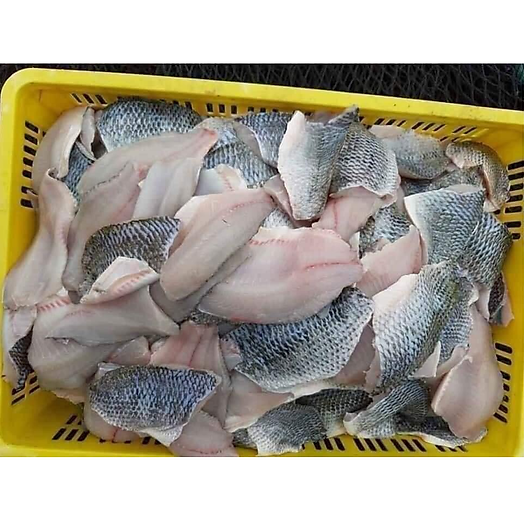 Cá rô phi fillet lọc xương - đông lạnh