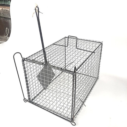 Lồng Bẫy Đa Năng Mèo ( Bẫy mèo , chuột , dúi )