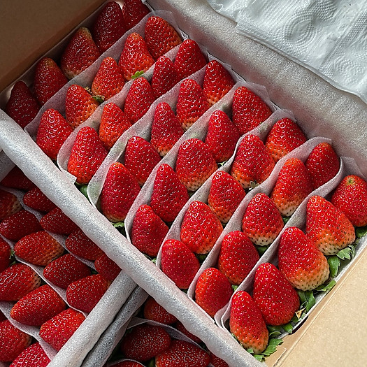 Dâu tây Đà Lạt giống Mỹ - 500gr