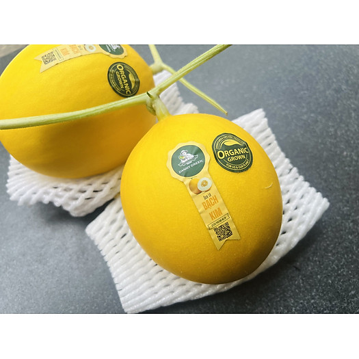 Dưa Lê Bạch Kim ( Úc ), trái giòn ngọt, thịt trắng sữa