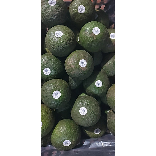 Cam sành Hiếu Liêm Vietgap - 1kg