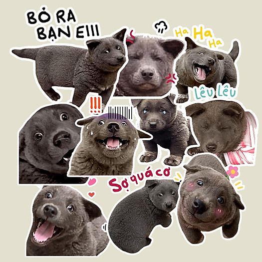 Sticker  Bé Dúi Set 30 ảnh Nguyễn Văn Dúi