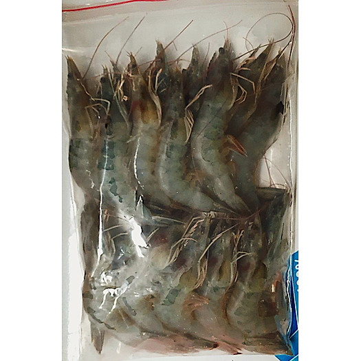 Tôm thẻ size 25 con/kg