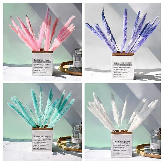 Combo 5 bông hoa lau khô decor, cỏ lau trang trí để bàn, phụ kiện chụp ảnh đẹp