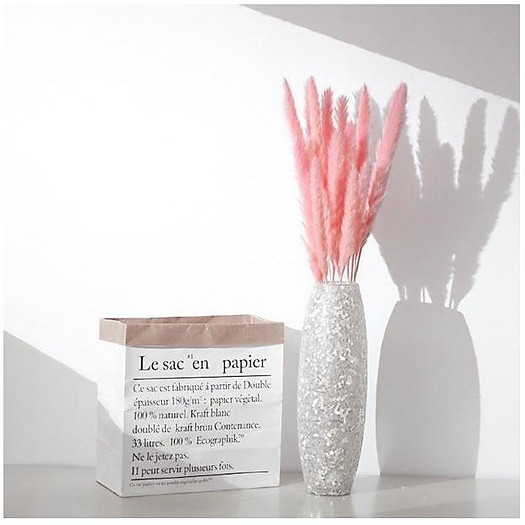 Combo 5 bông hoa lau khô decor, cỏ lau trang trí để bàn, phụ kiện chụp ảnh đẹp