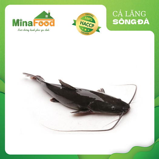 Cá Lăng Sông Đà/nguyên con/2-8kg/Minafood