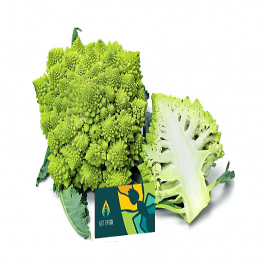 Bông Cải San Hô - 900G