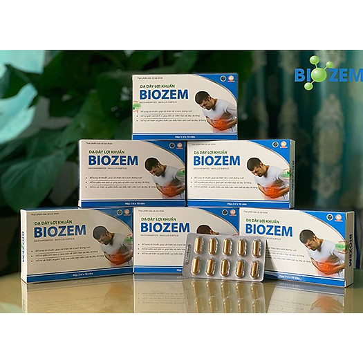 Dạ Dày Lợi Khuẩn Biozem (Hộp 2 vỉ x 10 viên)