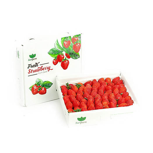 DÂU TÂY GIỐNG NHẬT / HỘP