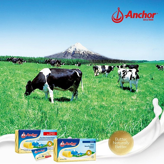 Bơ nhạt Anchor New Zealand miếng 227g