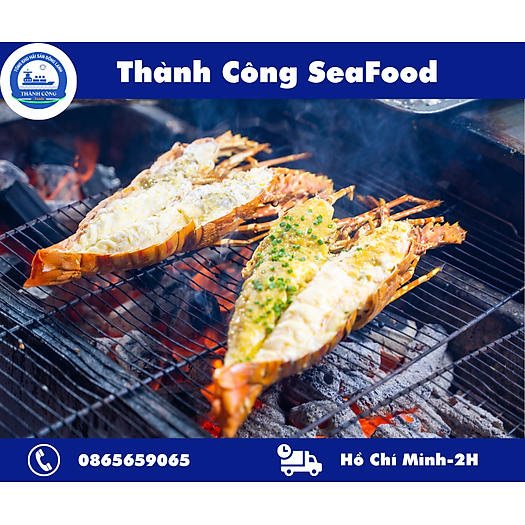 Tôm hùm xanh Cam Ranh hàng loại một sống khỏe