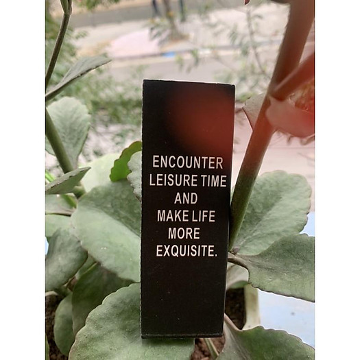 Diêm đốt nến Good day