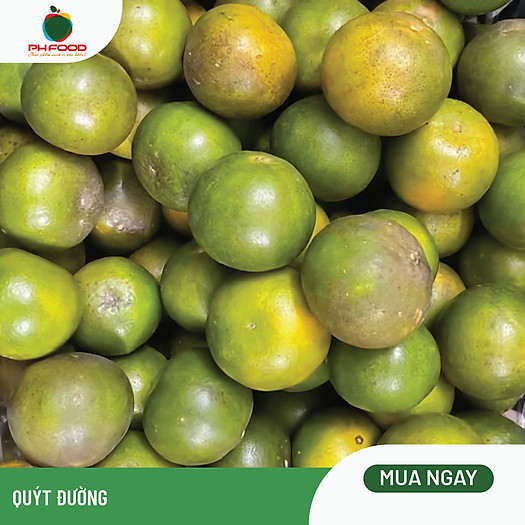 Quýt Đường Ngọt Thơm