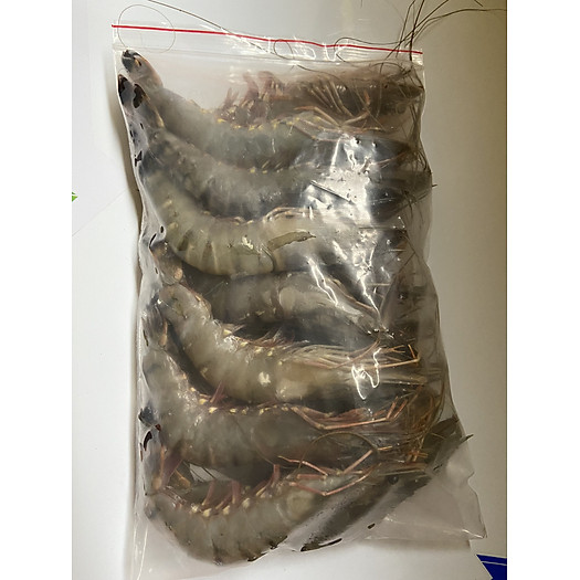 Tôm sú size 20 con/kg