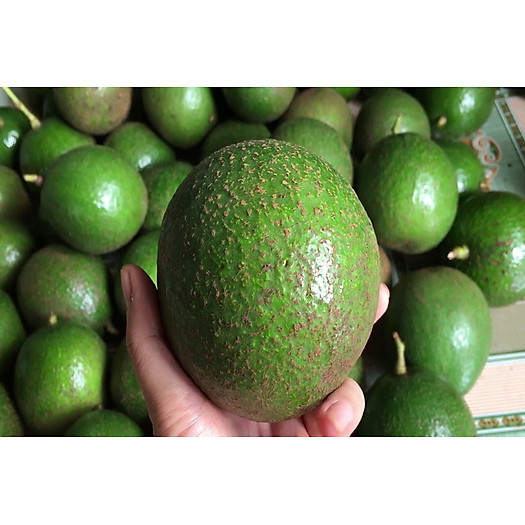 Bơ Booth Loại 1 - 1Kg