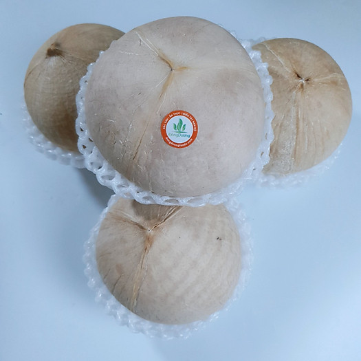 Dừa xiêm xanh Bến Tre gọt sẵn - 1 quả