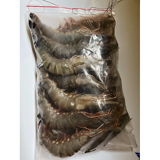 Tôm sú size 20 con/kg