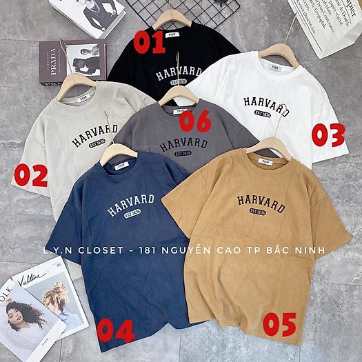 Áo thun 3158 chữ Harvard chất dày hàng Quảng Châu