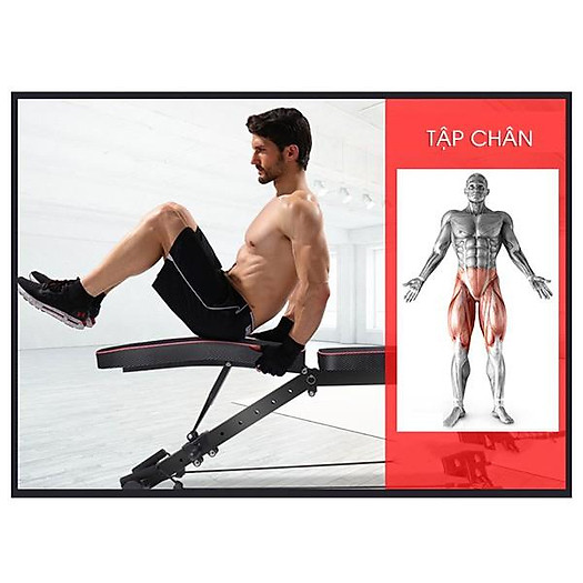 Ghế Tập Gym KK022D