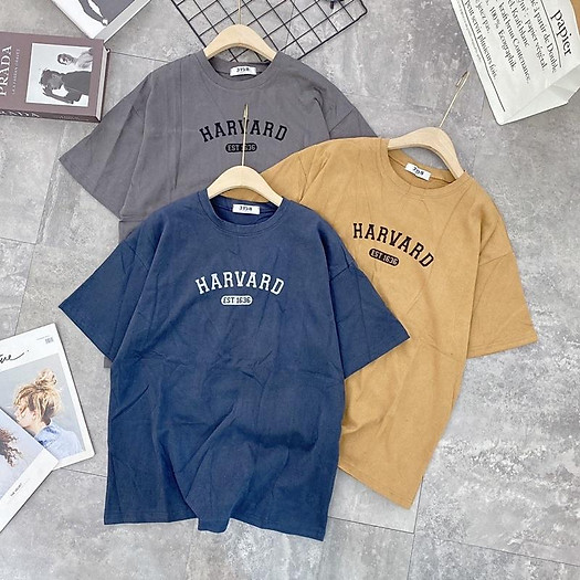 Áo thun 3158 chữ Harvard chất dày hàng Quảng Châu