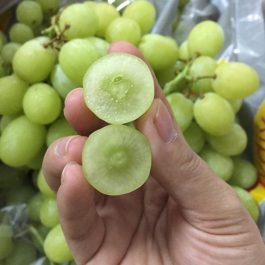 Nho Xanh Sugar Hydix Nam Phi