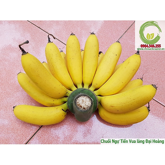 Chuối ngự tiến vua 3 nải