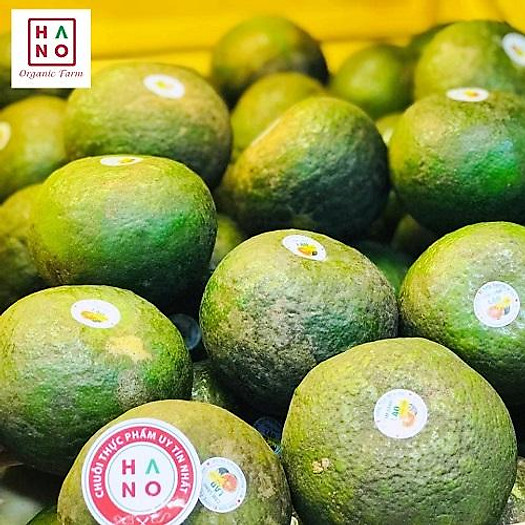 Cam sành bến tre- 1kg