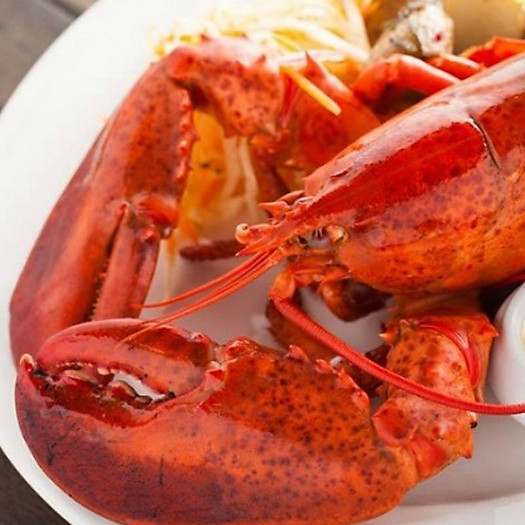 ] - Càng tôm hùm hấp bia