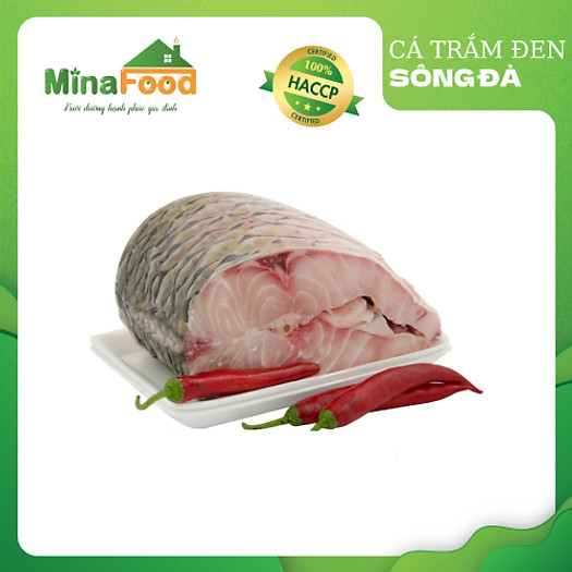 Cá Trắm Đen (trắm ốc) đang bơi - con 8-9 kg - Minafood - MM0006