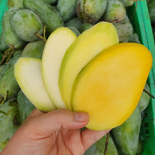 Xoài hạt lép - 1 kg