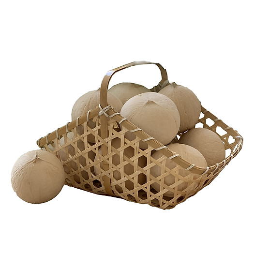 Combo 10 trái dừa xiêm gọt trọc mini