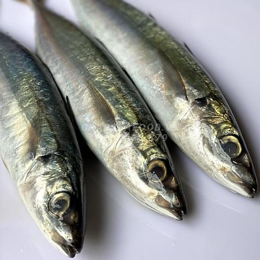 Cá nục suôn size 8-10 con/kg         1kg