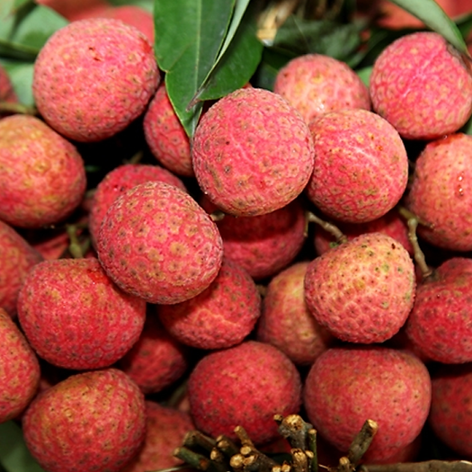 Vải Thiều Lục Ngạn- 1kg