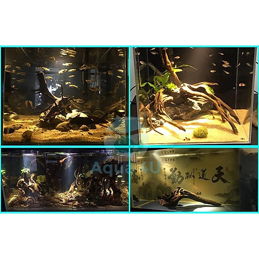 Đèn rọi bể cá, bể thủy sinh 7w, 5w, 3w - 3 chế độ màu trong 1, giá rẻ cho anh em chơi thủy sinh