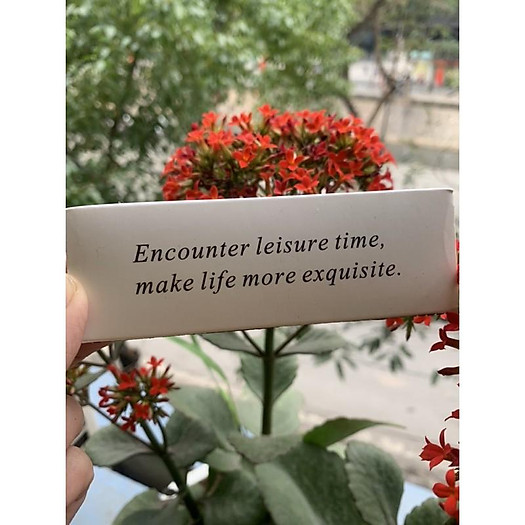 Diêm đốt nến Good day